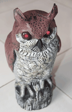 >Plastic owl  With Flash Eyes